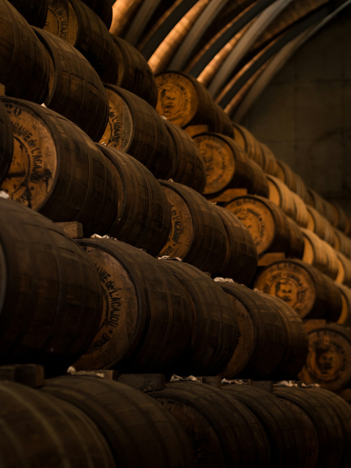 Tendências de consumo de vinhos em 2024